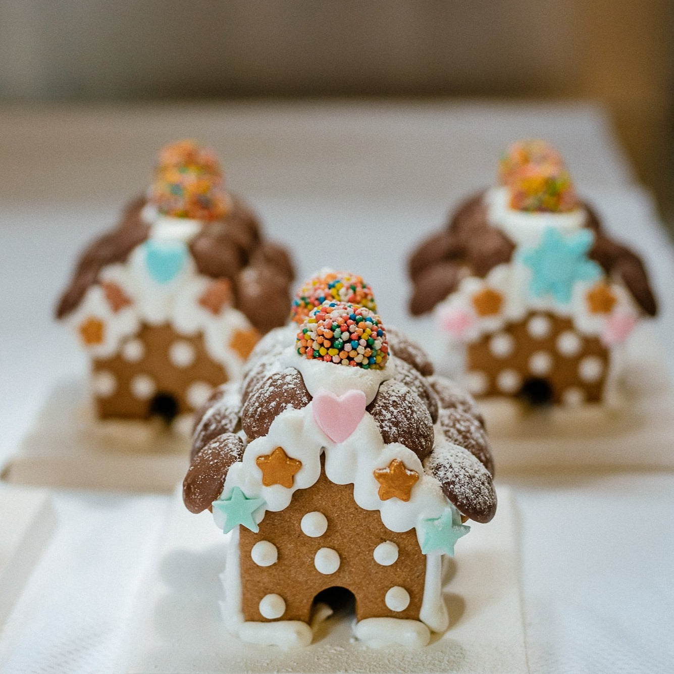 The Gingerbread Company